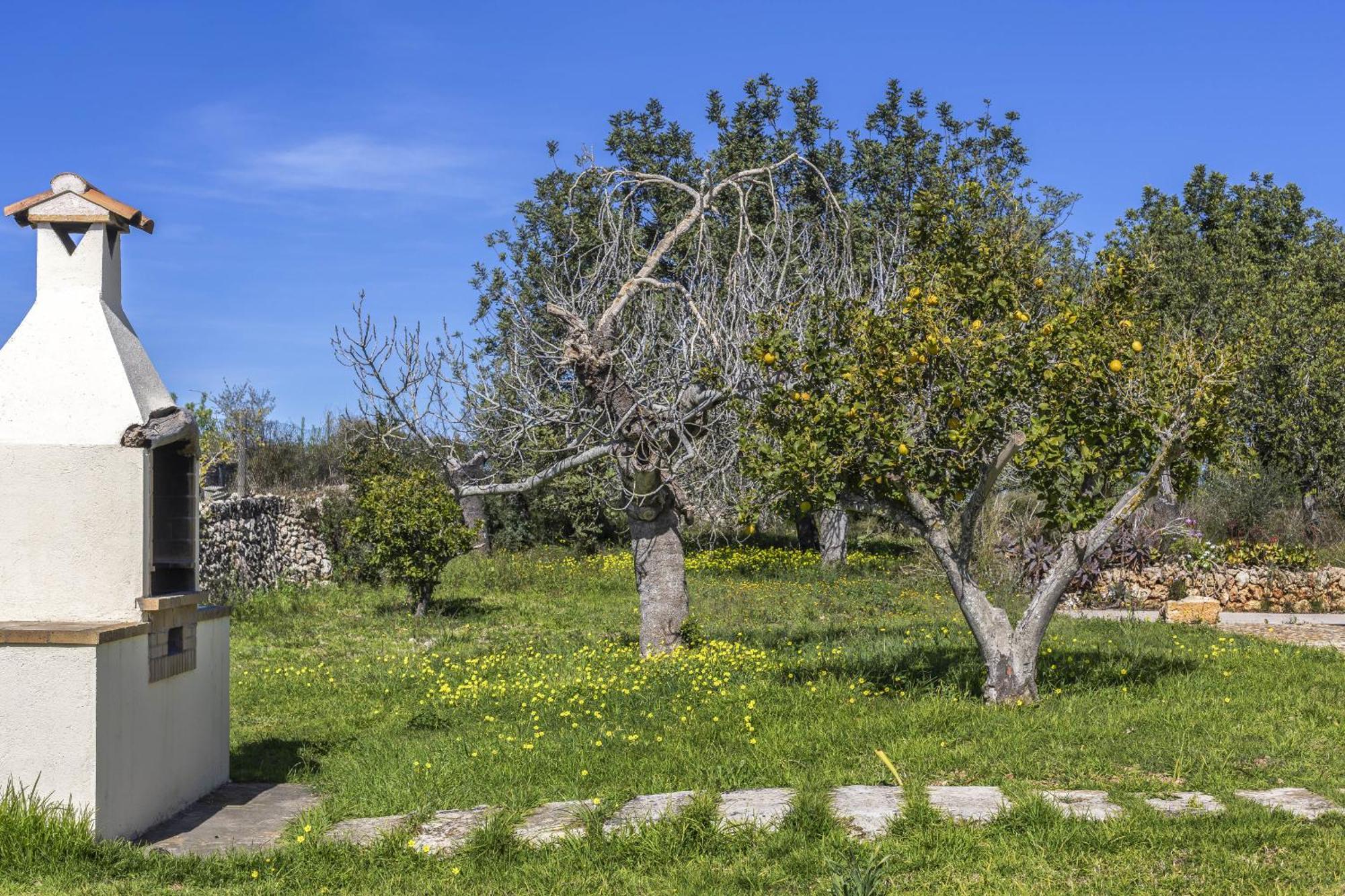 سانتا مارجاليدا Finca Sa Torreta المظهر الخارجي الصورة