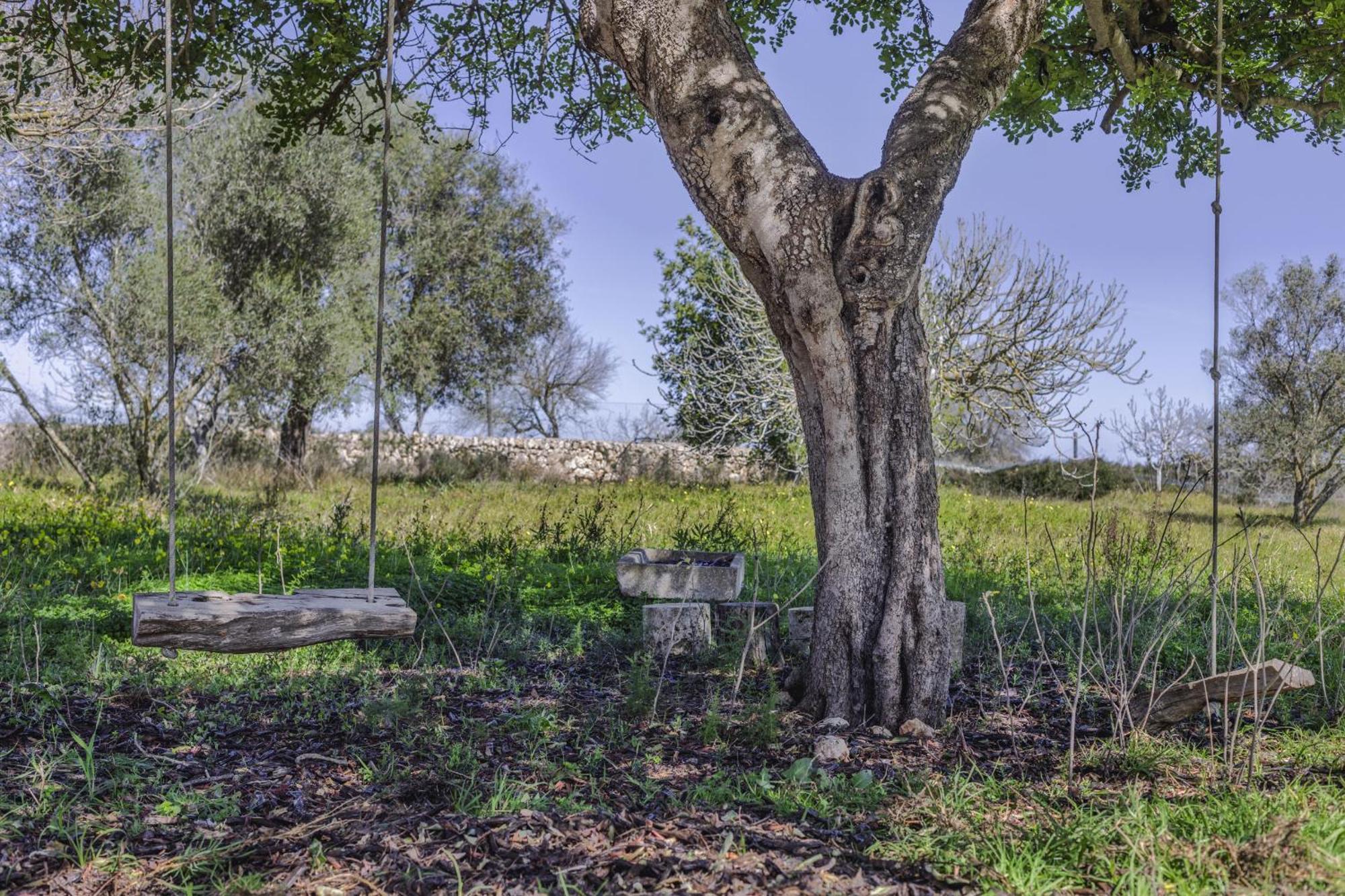 سانتا مارجاليدا Finca Sa Torreta المظهر الخارجي الصورة